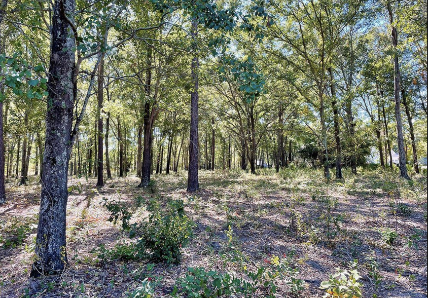 Primary Photo Of 174 Langford, Blythewood Land For Sale