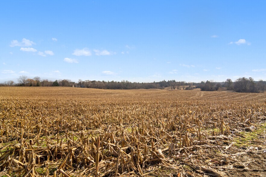 More Photos Of 19925 W Indian Creek Rd, Long Grove Land For Sale