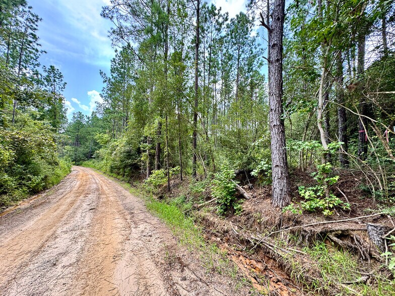 More Photos Of 0 Slim Palmer Road, Zavalla Land For Sale