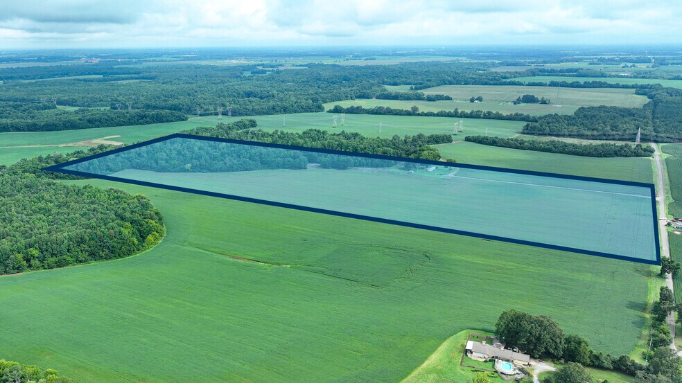 Primary Photo Of 9303 Fennell Rd, Tanner Land For Sale