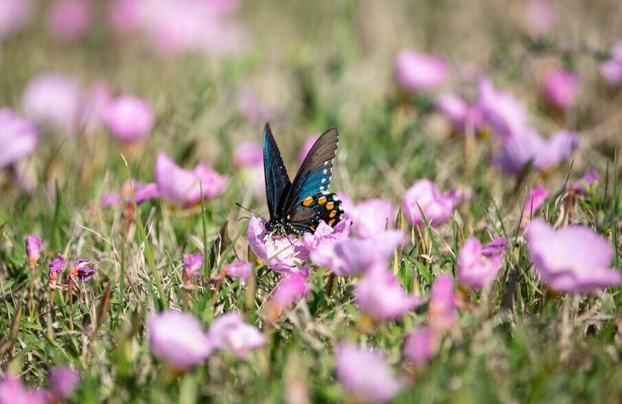 More Photos Of 1751 FM 1781, Rockport Land For Sale