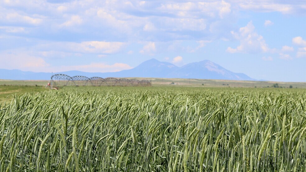 More Photos Of 48999 County Road 48, Model Land For Sale