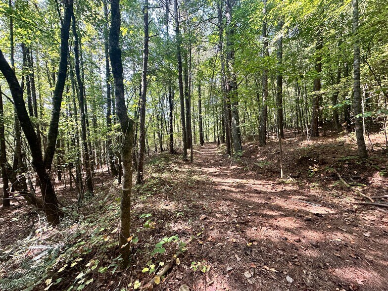 More Photos Of 00 Frix Rd, Cumming Land For Sale