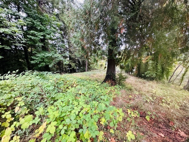 More Photos Of 2 W. Sherman Heights Road, Bremerton Land For Sale
