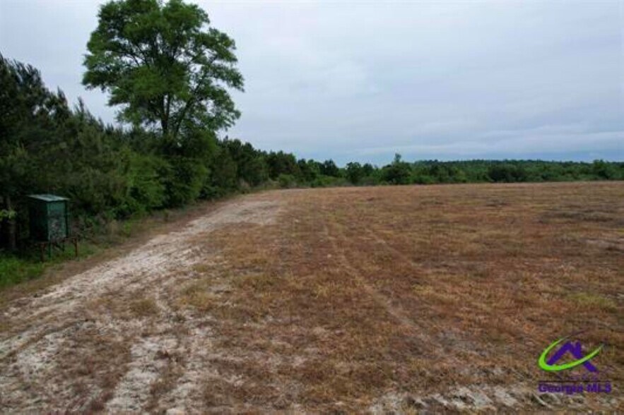 More Photos Of Chester Alamo Hwy, Chester Land For Sale