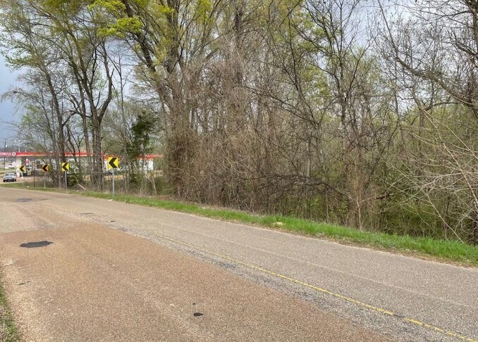 Primary Photo Of 0000 Riley Rd, Vicksburg Land For Sale