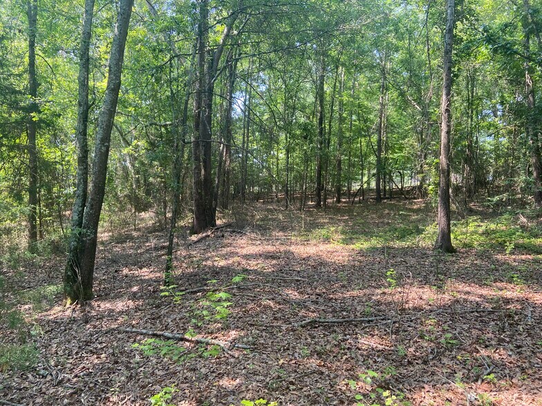 More Photos Of Terry Shop Rd, Fountain Inn Land For Sale