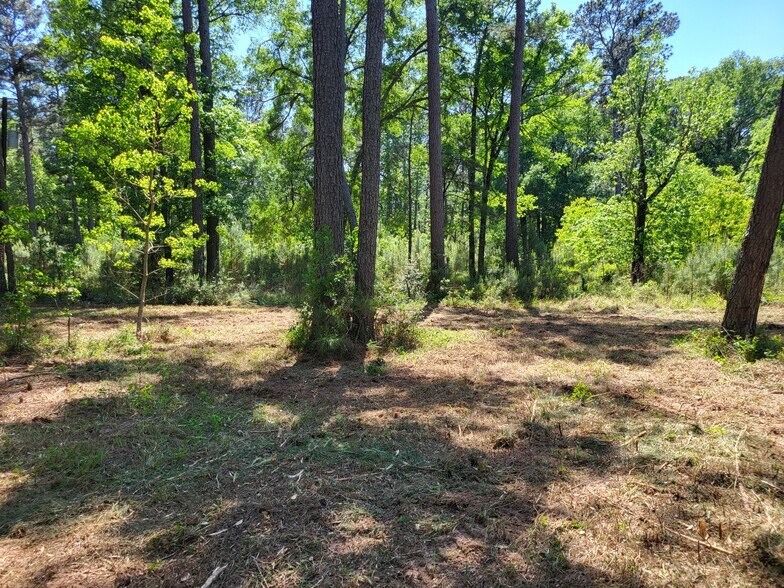More Photos Of 500 S Pine Lake Rd, Montgomery Land For Sale