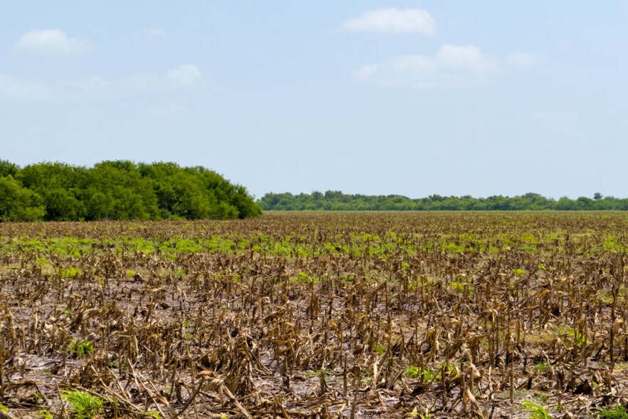 More Photos Of FM 1421 Rd, Brownsville Land For Sale