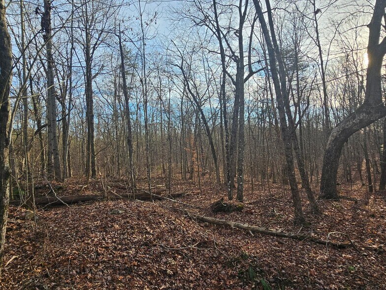 More Photos Of 762 Smith Mountain Rd, Dunlap Land For Sale