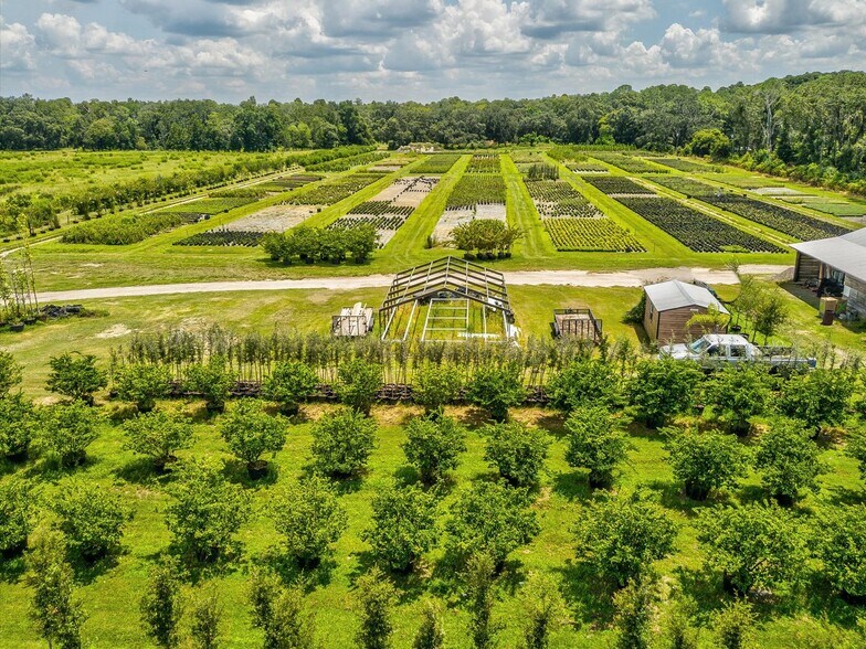More Photos Of 2816 Crystal Springs Rd, Zephyrhills Winery Vineyard For Sale