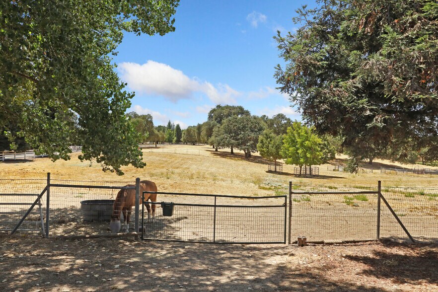 More Photos Of 24521 N McIntire Rd, Clements Land For Sale