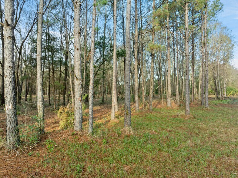 More Photos Of 1115 Evelyn Gandy Pky, Petal Land For Sale