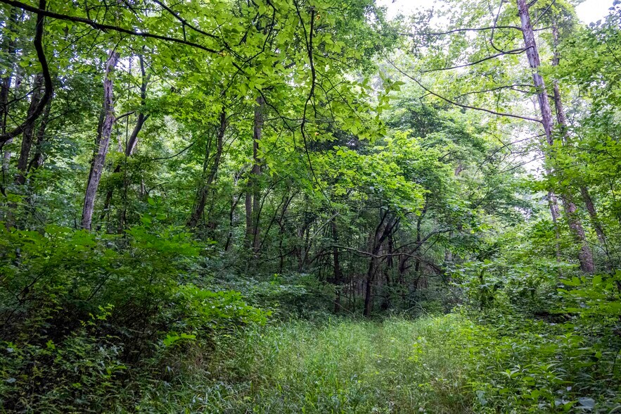 More Photos Of Talley Rd, Hartsburg Land For Sale