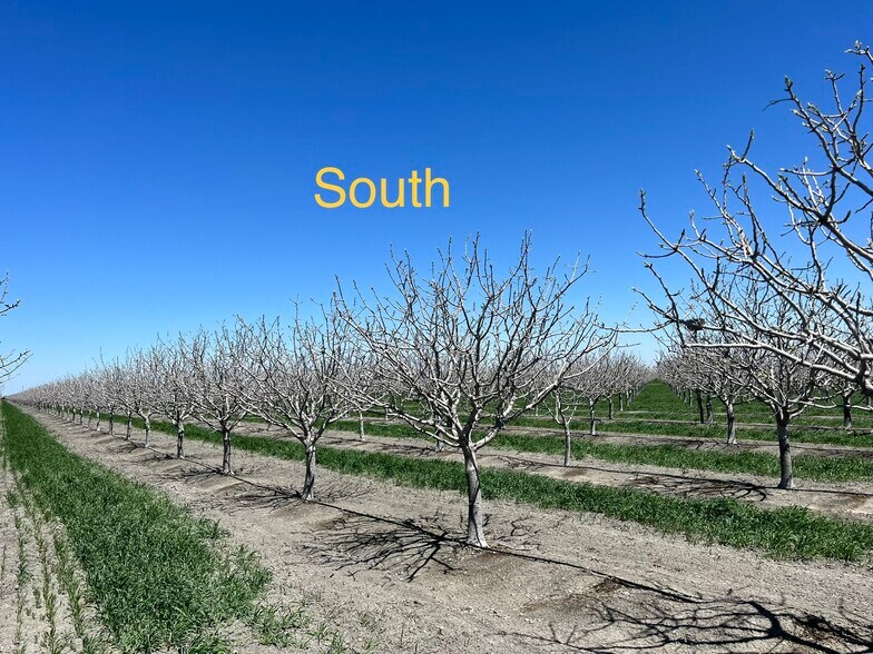 More Photos Of W South Ave @ S Calaveras Ave, Tranquillity Land For Sale