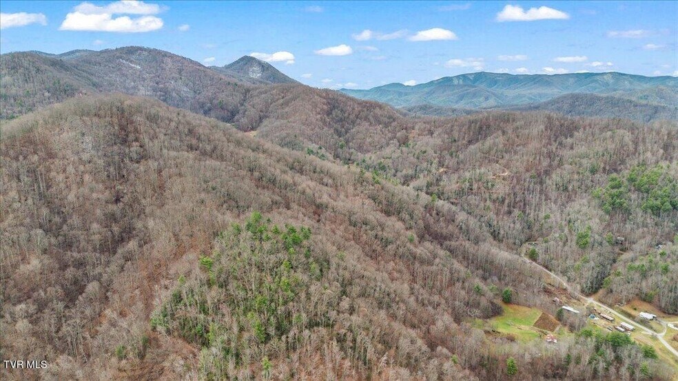 More Photos Of TBD Stockton Rd rd, Flag Pond Land For Sale