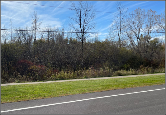 Primary Photo Of John Walsh Boulevard & McIntosh Drive, Auburn Land For Sale