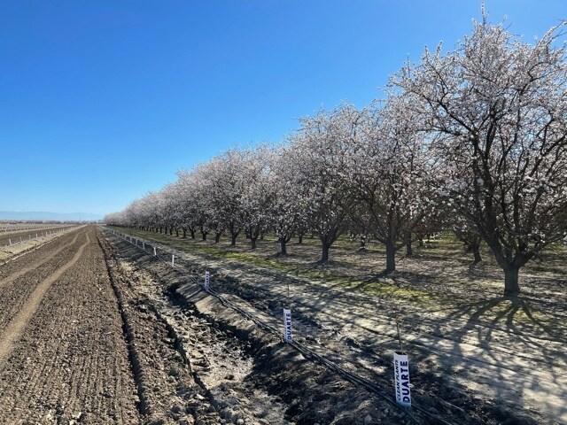 More Photos Of 10277 Road 28 1/2, Madera Land For Sale