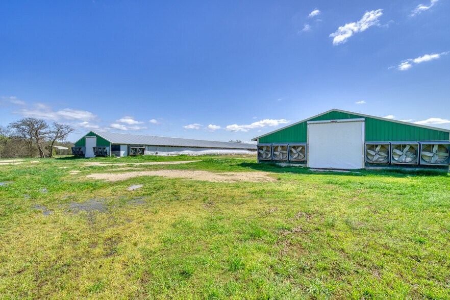 More Photos Of 8370 County Road 150, Somerville Land For Sale