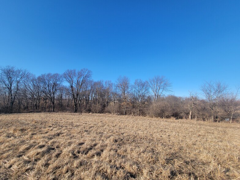 More Photos Of 171 Windy Hill Rd. (20+/- Acres), Elsberry Land For Sale