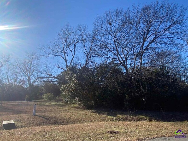 Horse Whisperer Limestone road, Cochran, GA 31014 Land For Sale