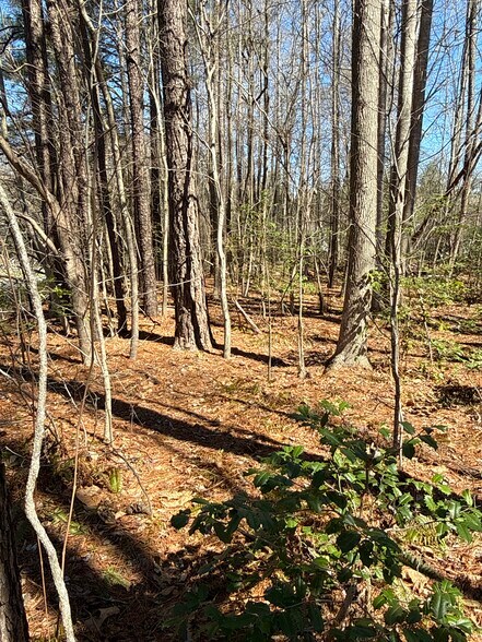 More Photos Of Magnolia Woods Ct, Quinton Land For Sale