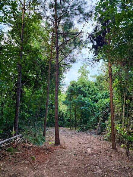 More Photos Of 00 221 Highway South Hwy, Laurens Land For Sale