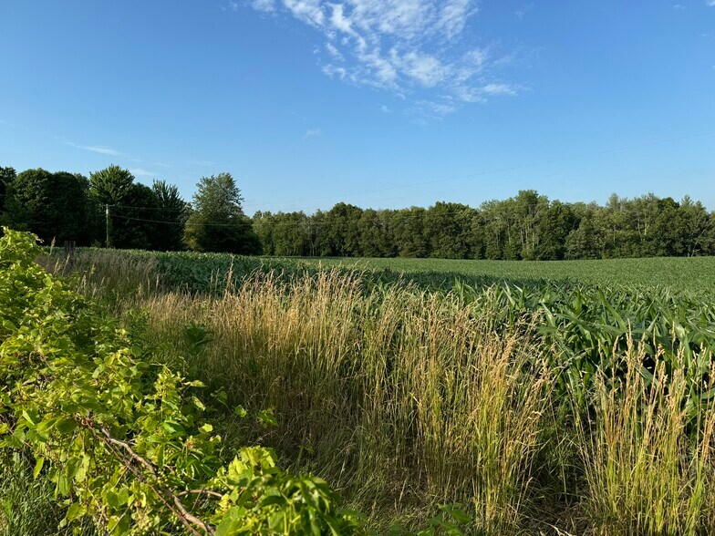 More Photos Of 0 V/L Green St., Springport Land For Sale