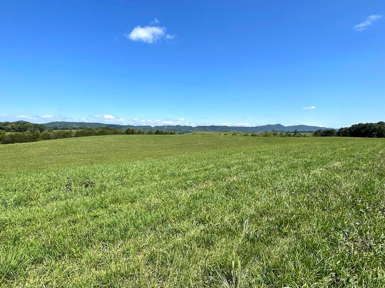 More Photos Of Flatwoods Road, Mosheim Land For Sale