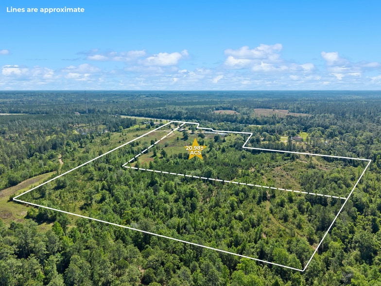 More Photos Of 39207 State Highway 59, Bay Minette Land For Sale