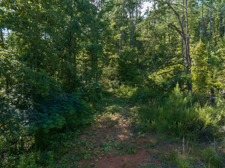 More Photos Of 823 Silver Creek Rd, Mill Spring Land For Sale