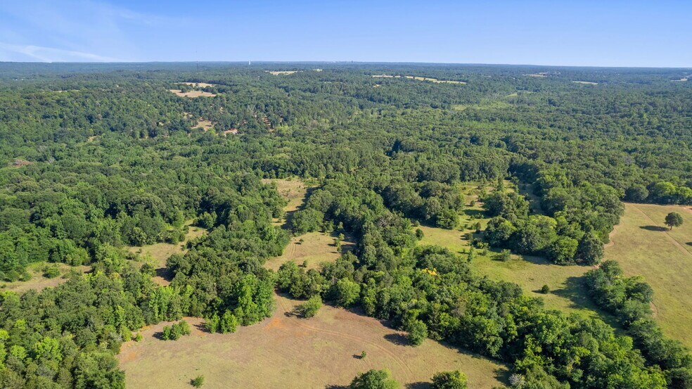 More Photos Of 10651 County Road 41, Lindale Land For Sale
