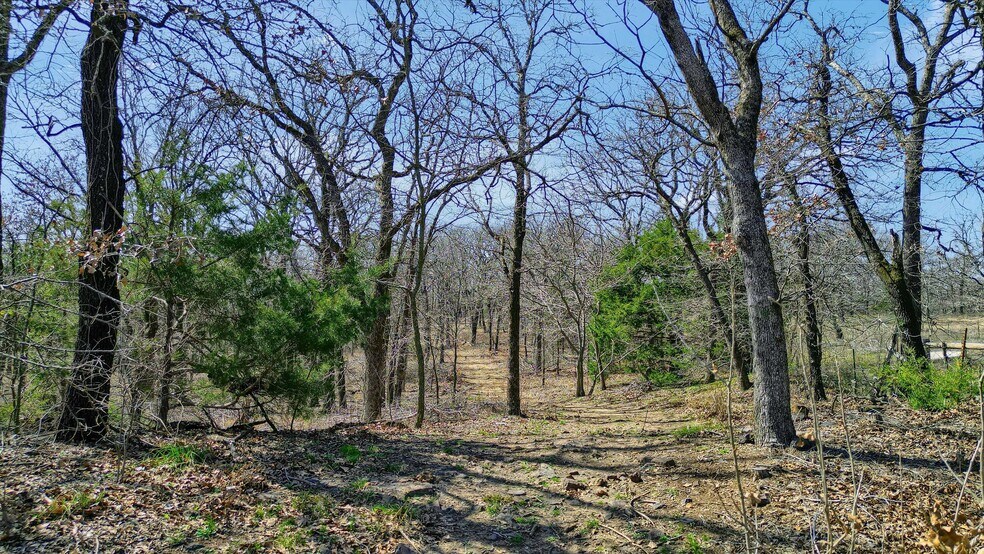 More Photos Of 278 Neely Trl, Gainesville Land For Sale