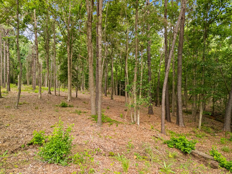 More Photos Of Hwy 259- TBD Hwy, Longview Land For Sale