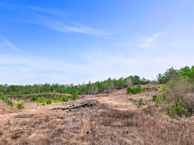 More Photos Of 16.31+/- AC Franklin Parkway Franklin GA 30217, Franklin Land For Sale