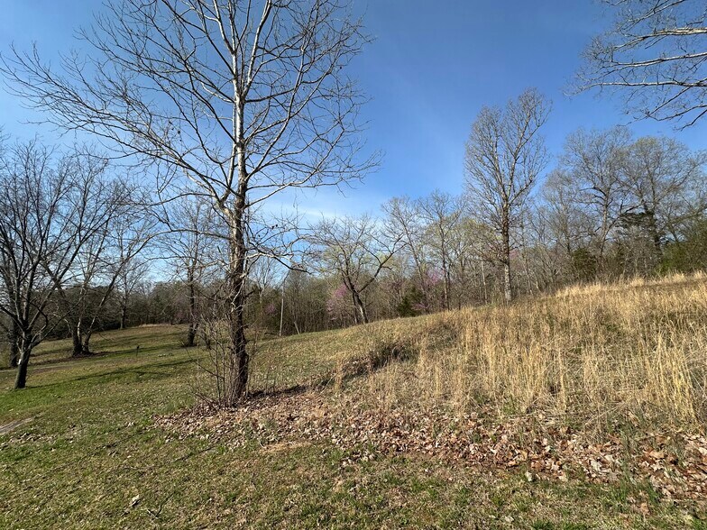 More Photos Of 7312 Highway 60, Georgetown Land For Sale