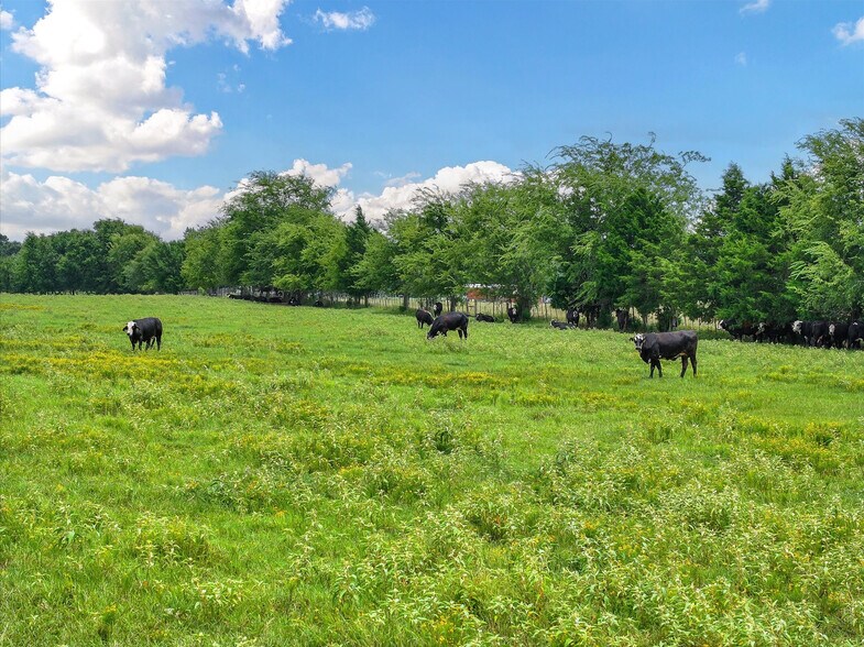 More Photos Of Tract 10 County Road 3415, Jacksonville Land For Sale