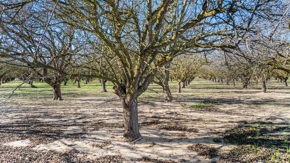 More Photos Of 2105 Airport Way, Manteca Land For Sale
