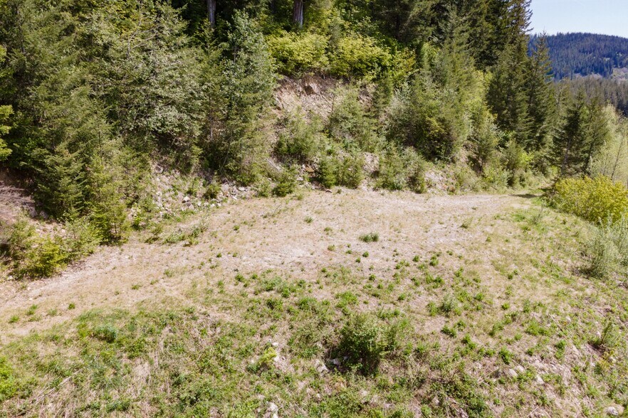 More Photos Of 0 Snag Mountain Road, Washougal Land For Sale