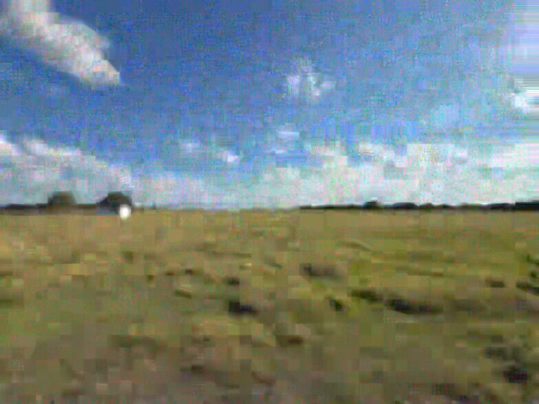 Primary Photo Of 00 Beckendorff Rd, Katy Land For Sale