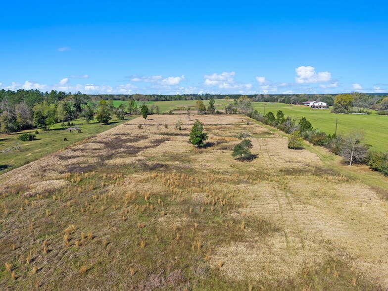 More Photos Of 33951 Lee Rd, Robertsdale Land For Sale