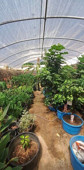 More Photos Of 13915 US 70, Fort Thomas Land For Sale