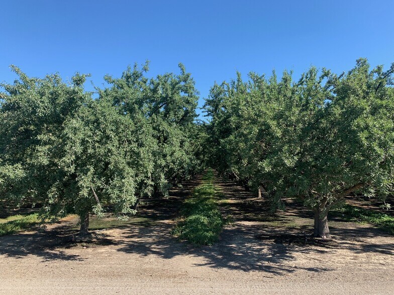 Primary Photo Of Sec Wildwood Rd & Sherwood Ave, Wasco Land For Sale