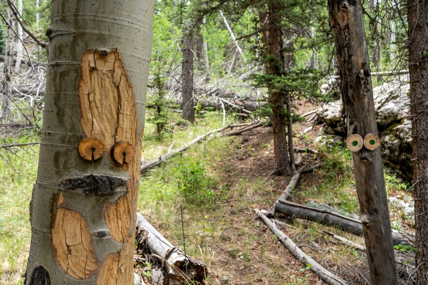 More Photos Of 20859 County Road 77, Lake George Specialty For Sale