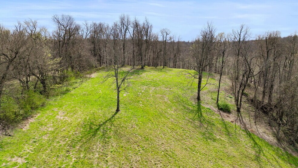 More Photos Of 0 McLaughlin Rd, Shelbyville Land For Sale