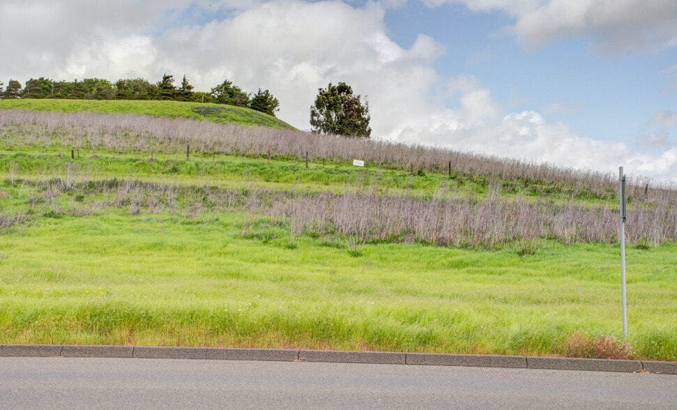 More Photos Of Eucalypus Dr X Teresa St., American Canyon Land For Sale