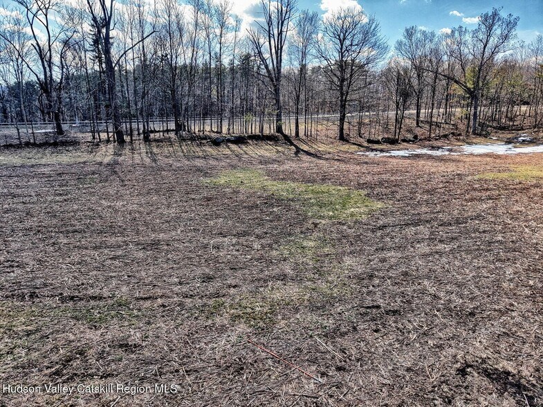 More Photos Of 7719 NY-32, Cairo Land For Sale