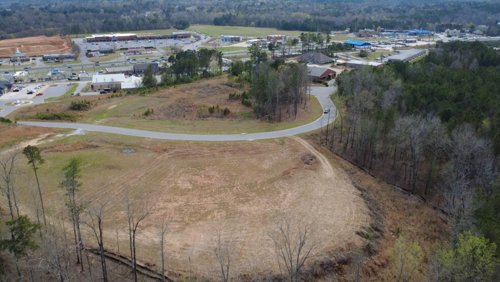More Photos Of 335 Foothills Pl, Chelsea Land For Sale