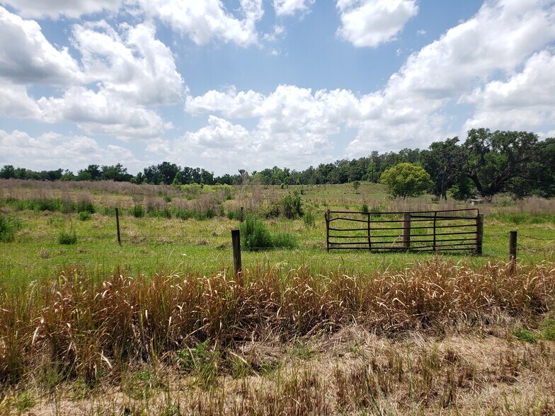 More Photos Of 31300 Blanton Rd, Dade City Land For Sale