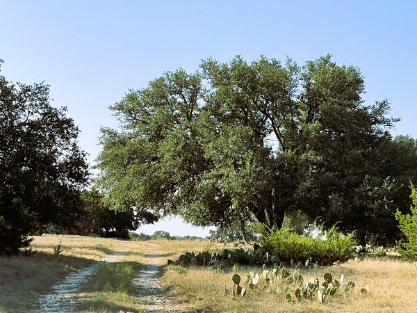 More Photos Of 4547 County Road 108, Burnet Land For Sale